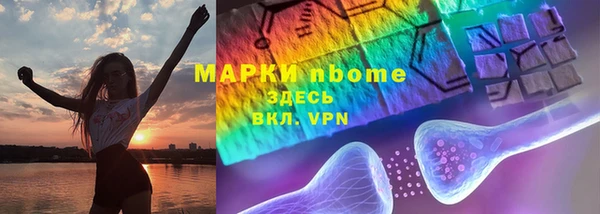 тгк Каменногорск
