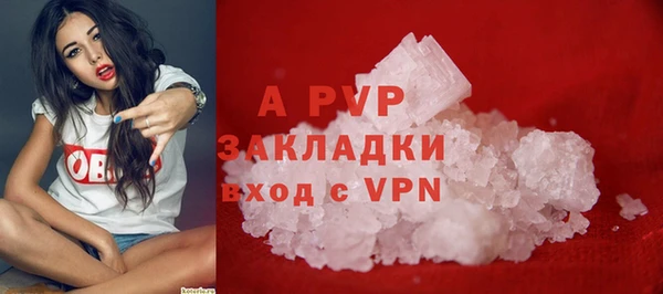 дмт Карпинск