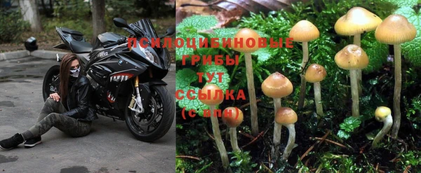 амфетамин Каменка