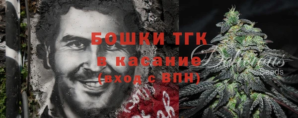 тгк Каменногорск
