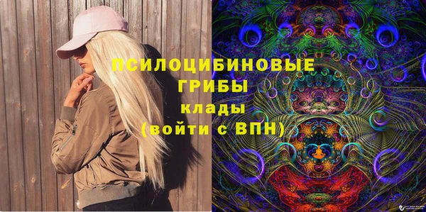 амфетамин Каменка