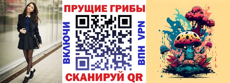 Псилоцибиновые грибы прущие грибы  это какой сайт  Новомосковск  купить  