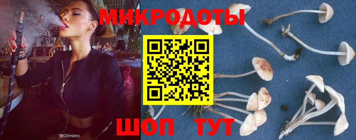 Псилоцибиновые грибы Magic Shrooms Новомосковск