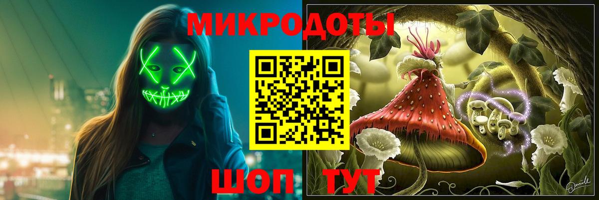 ГАШ Новомосковск