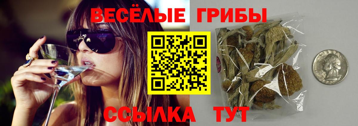 Псилоцибиновые грибы прущие грибы  Вход с VPN  Псилоцибиновые грибы Psilocybe  Новомосковск 