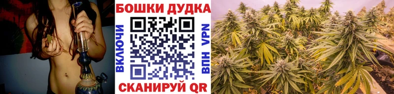 купить наркотик  Новомосковск  Каннабис семена 