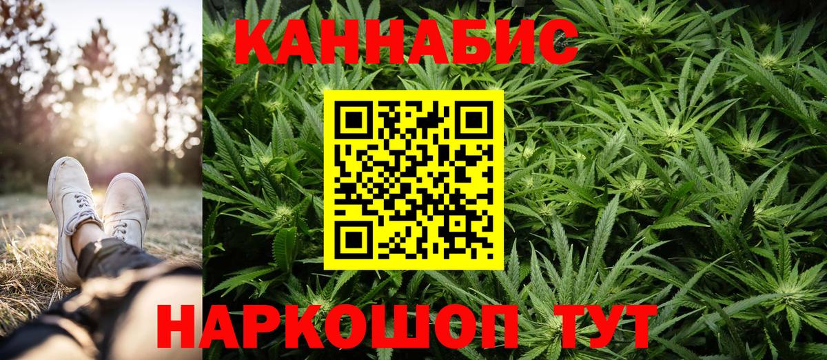 Конопля сатива Новомосковск